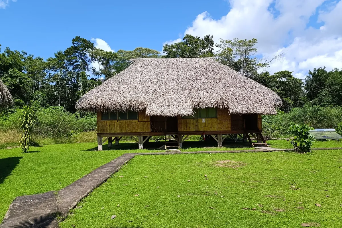 Lodge cabins in a jungle clearing under a clear sky