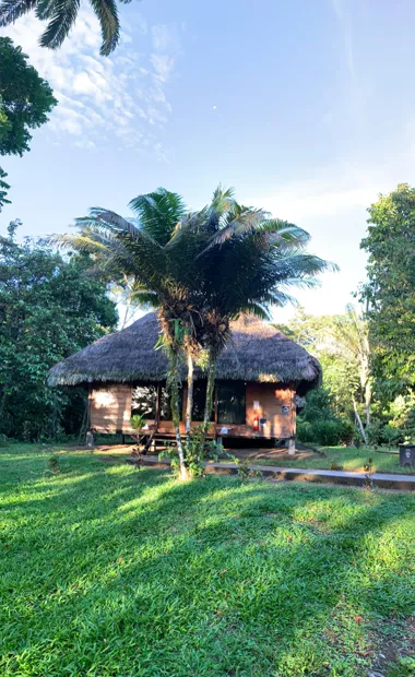 Cabin glowing at dusk behind a palm