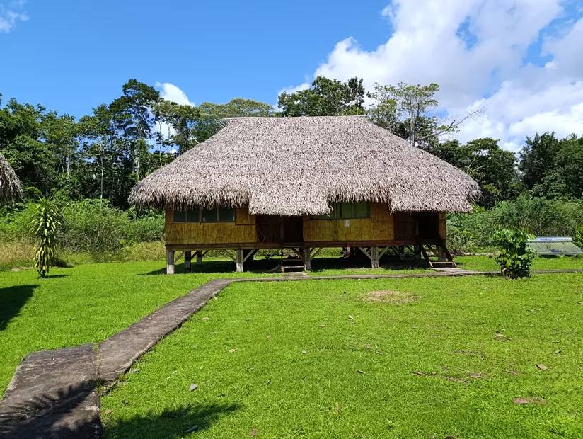 Thatched lodge buildings on a lawn under a blue sky