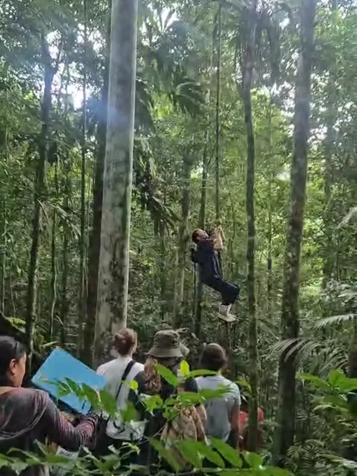 Group of visitors watching a monkey in the rainforest canopy
